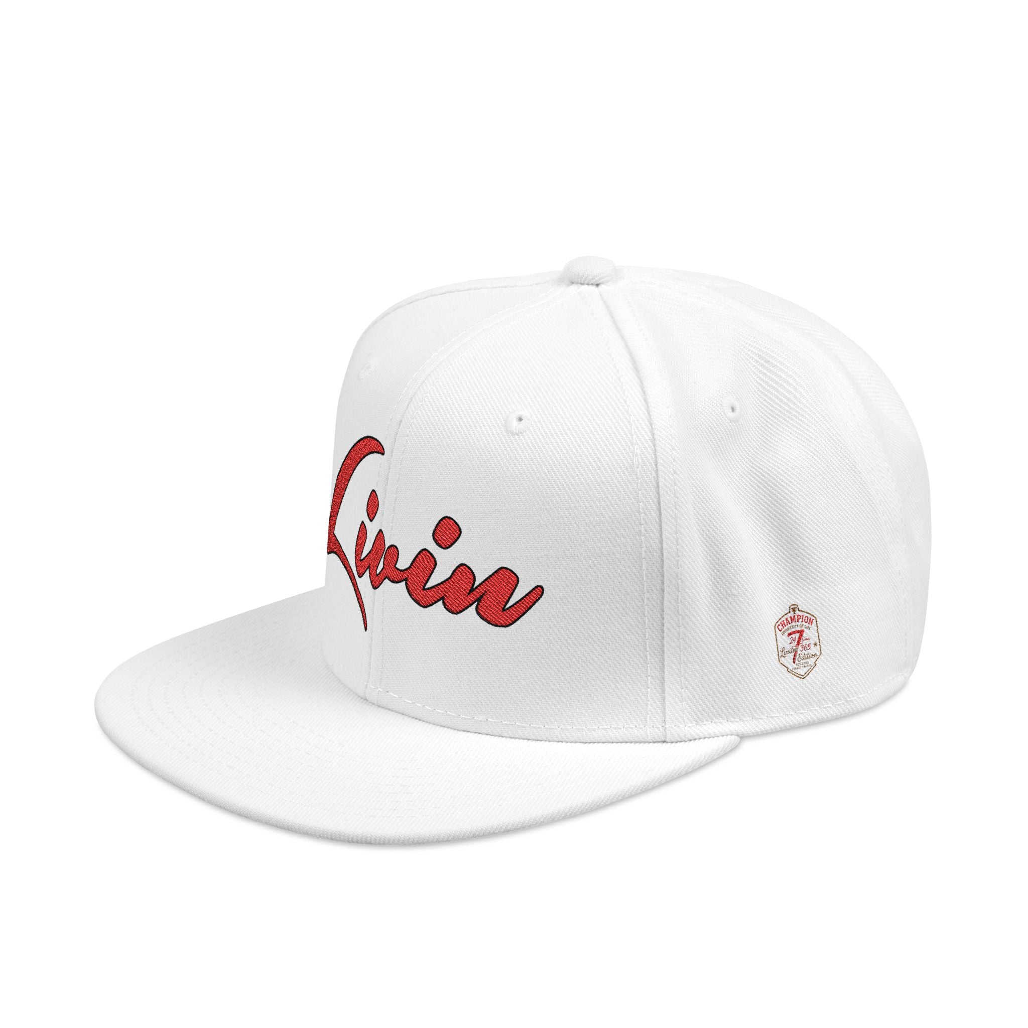 Embroidered Snapback Hat, Stylish Cap for Everyday Wear, Streetwear Essentials, Unique Gift for Fashion Lovers, Customizable Accessories